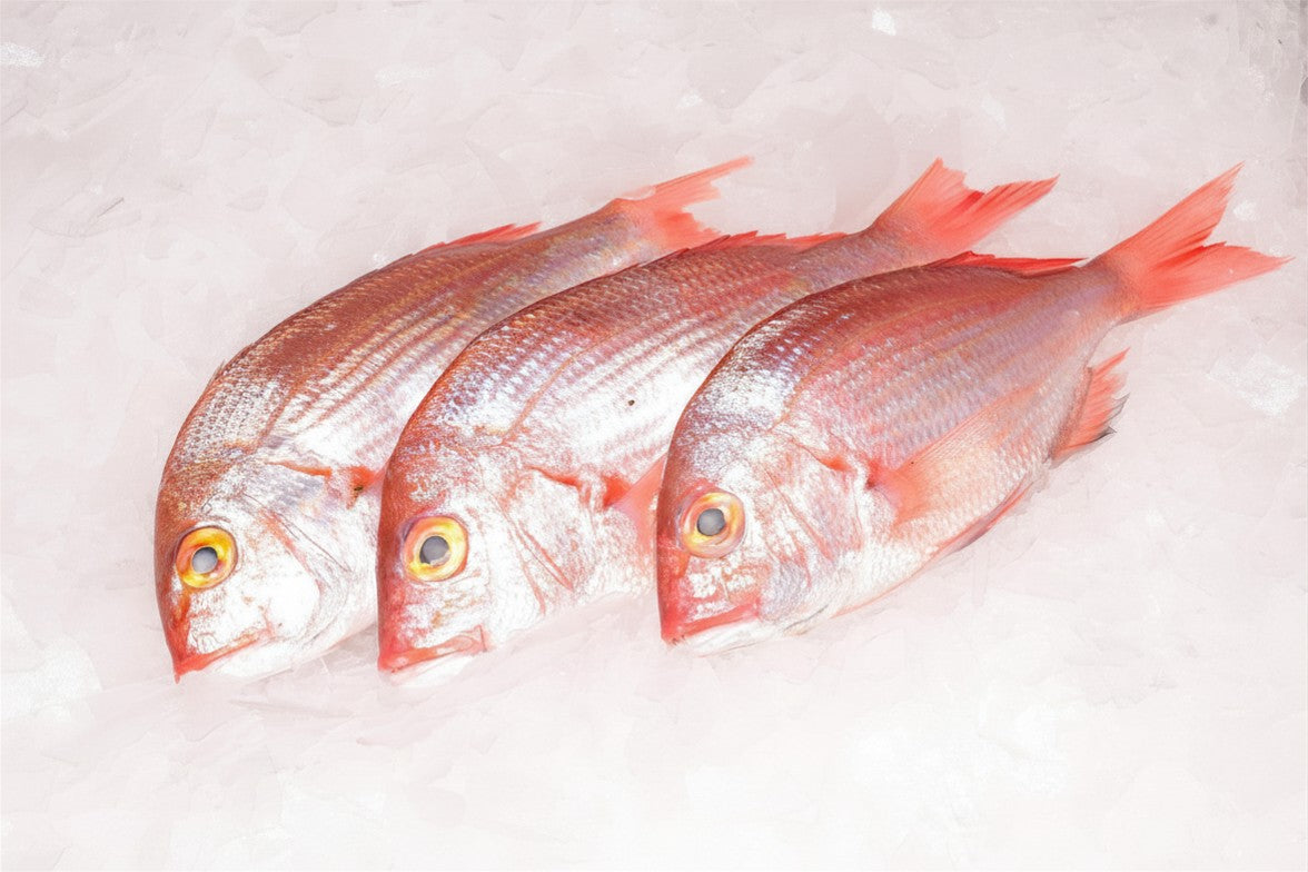 daurade, poisson frais, grillade